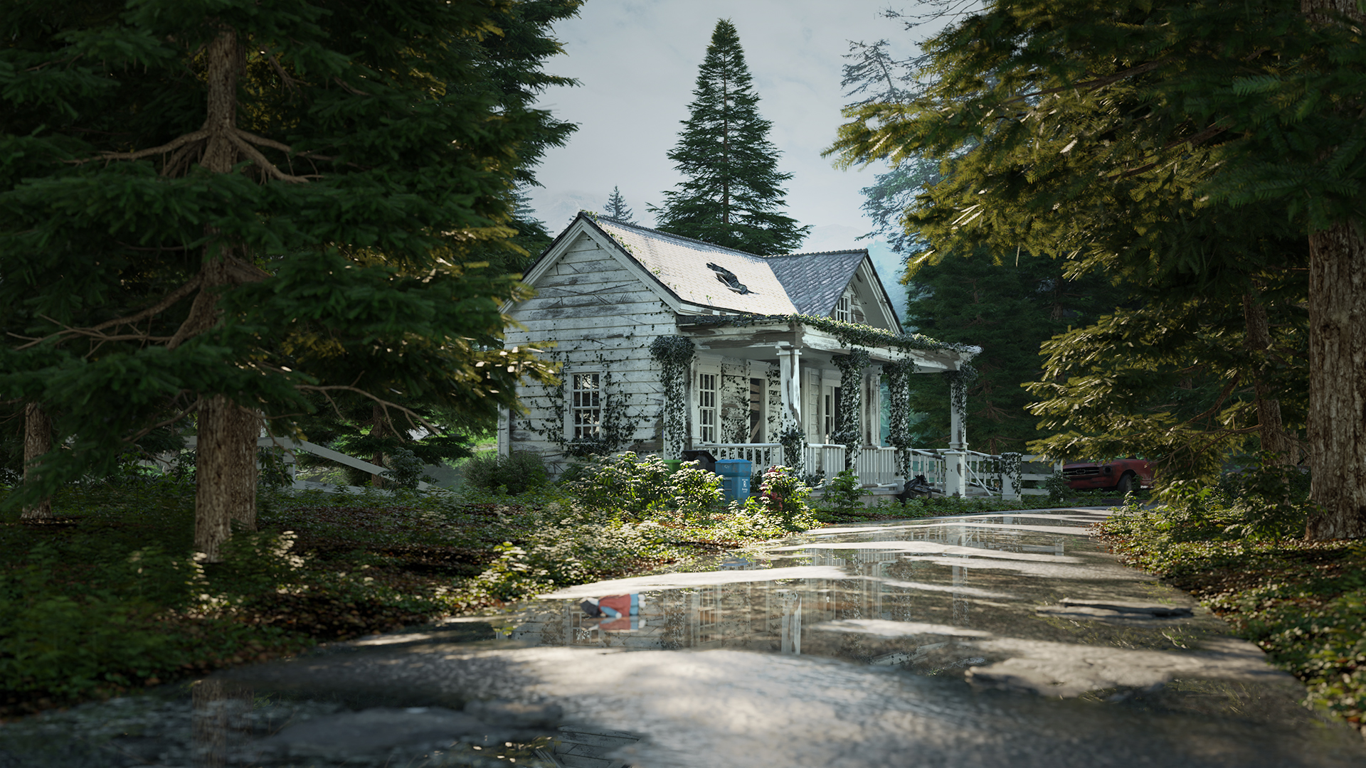 HOUSE IN FOREST